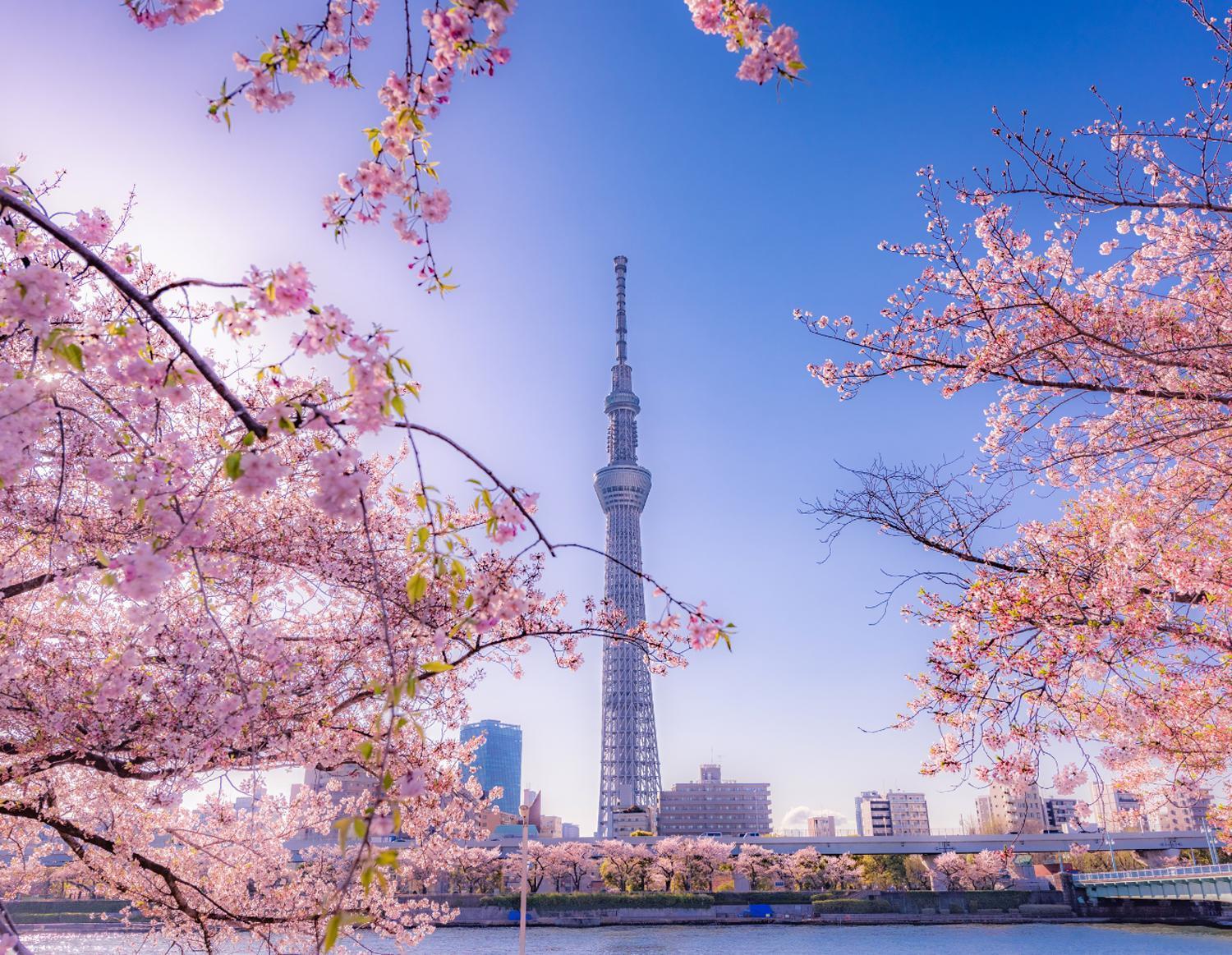 Grand Tree Hotel Skytree View Rooftop Asakusa Walk Tōkyō Extérieur photo